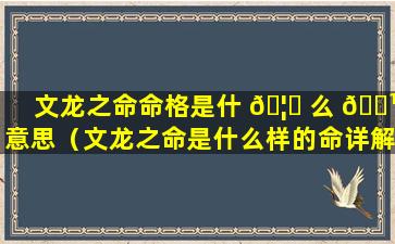 文龙之命命格是什 🦁 么 🌹 意思（文龙之命是什么样的命详解）